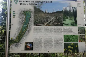 Fließwiese Ruhleben image