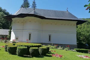 Mănăstirea Robaia image
