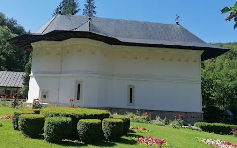Mănăstirea Robaia image
