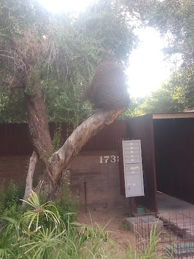 Park «Daley Park», reviews and photos, 1625 S College Ave, Tempe, AZ 85281, USA