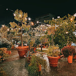 Photo n°4 de l'avis de Lorenza.e fait le 02/05/2024 à 20:17 sur le  Frugale Roma Food Garden à Rome