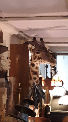 Art Museum «North Dakota Museum of Art», reviews and photos, 261 Centennial Dr, Grand Forks, ND 58202, USA