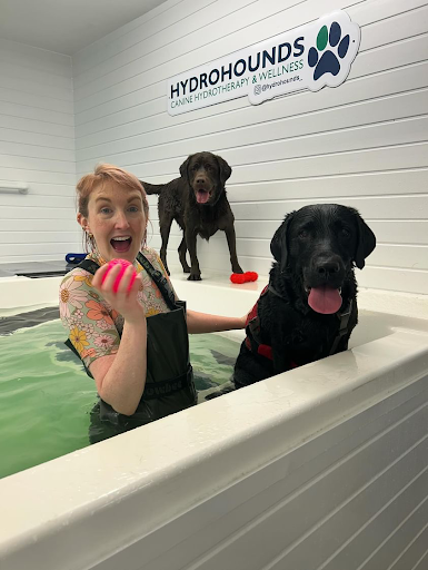 Hydrohounds Hydrotherapy