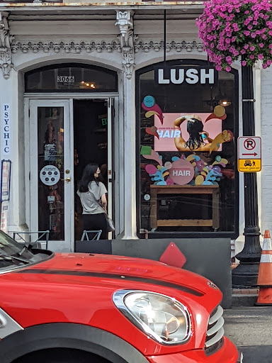 Cosmetics Store «Lush Cosmetics», reviews and photos, 3066 M St NW, Washington, DC 20007, USA