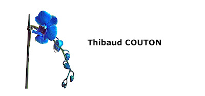Thibaud COUTON à Plan-de-Cuques