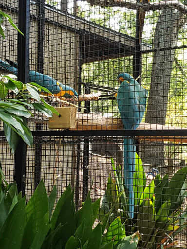 Recreation Center «Grant Park Recreation Center», reviews and photos, 537 Park Ave SE, Atlanta, GA 30312, USA