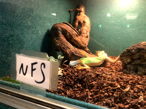 Pet Store «Exotic Pets», reviews and photos, 2410 N Decatur Blvd #160, Las Vegas, NV 89108, USA