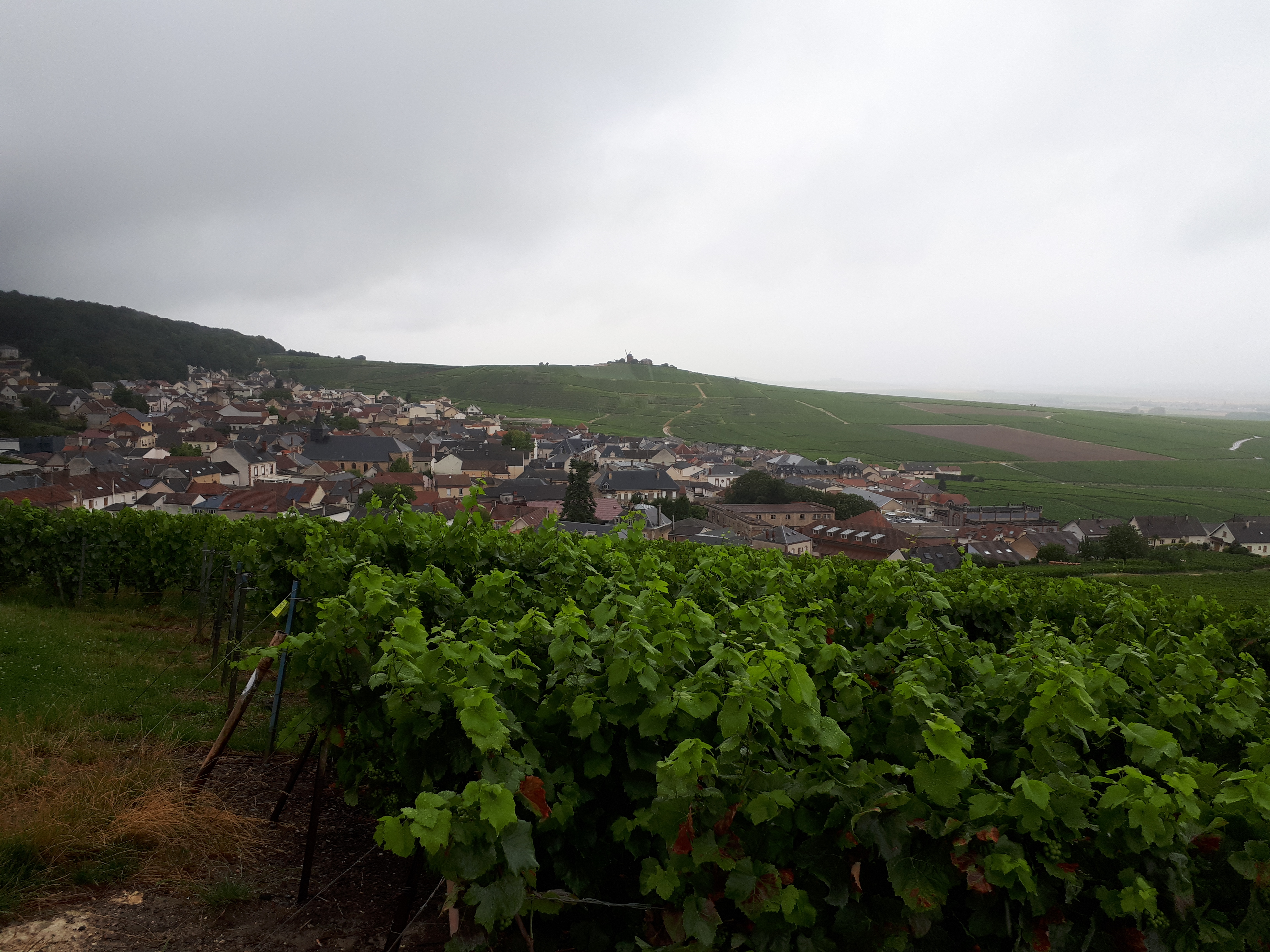 Photo n° 11 de l'avis de Ludovic.o fait le 17/08/2019 à 15:42