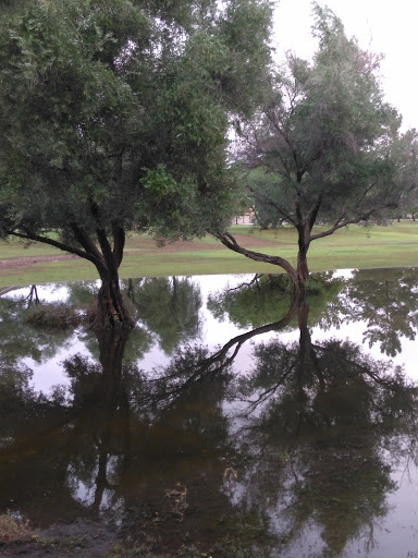 Park «Conocido Park», reviews and photos, 15645 N 31st Dr, Phoenix, AZ 85053, USA