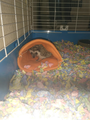 Pet Store «Wildside Pets», reviews and photos, 1042 N Higley Rd #105, Mesa, AZ 85205, USA