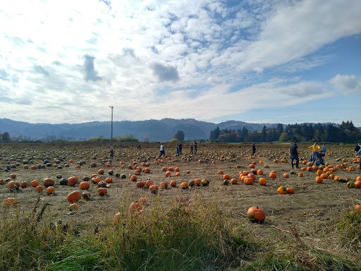 Farm «Bella Organic Farm», reviews and photos, 16205 NW Gillihan Rd, Portland, OR 97231, USA