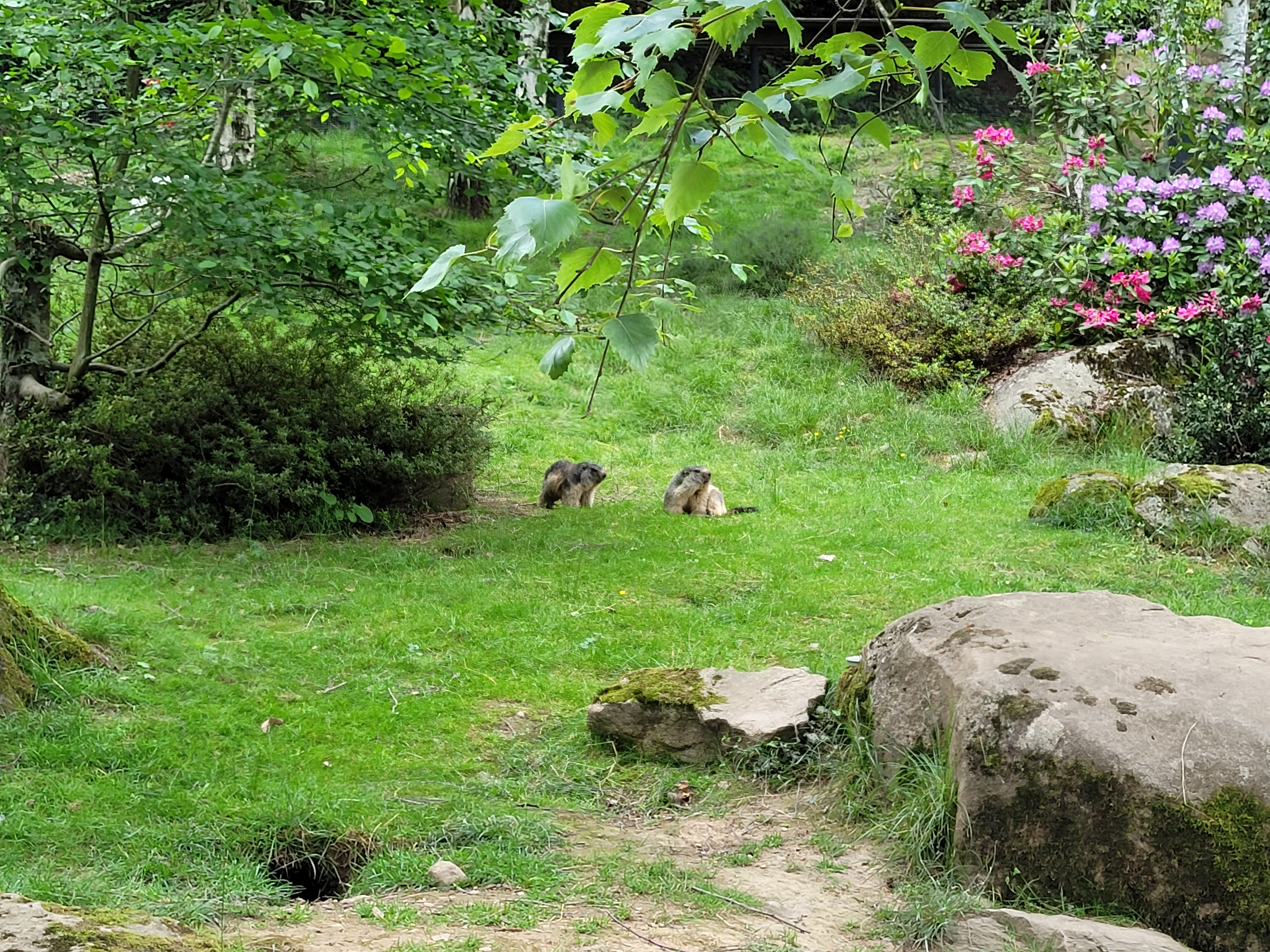 Photo n° 5 de l'avis de florian.a fait le 22/05/2022 à 17:27