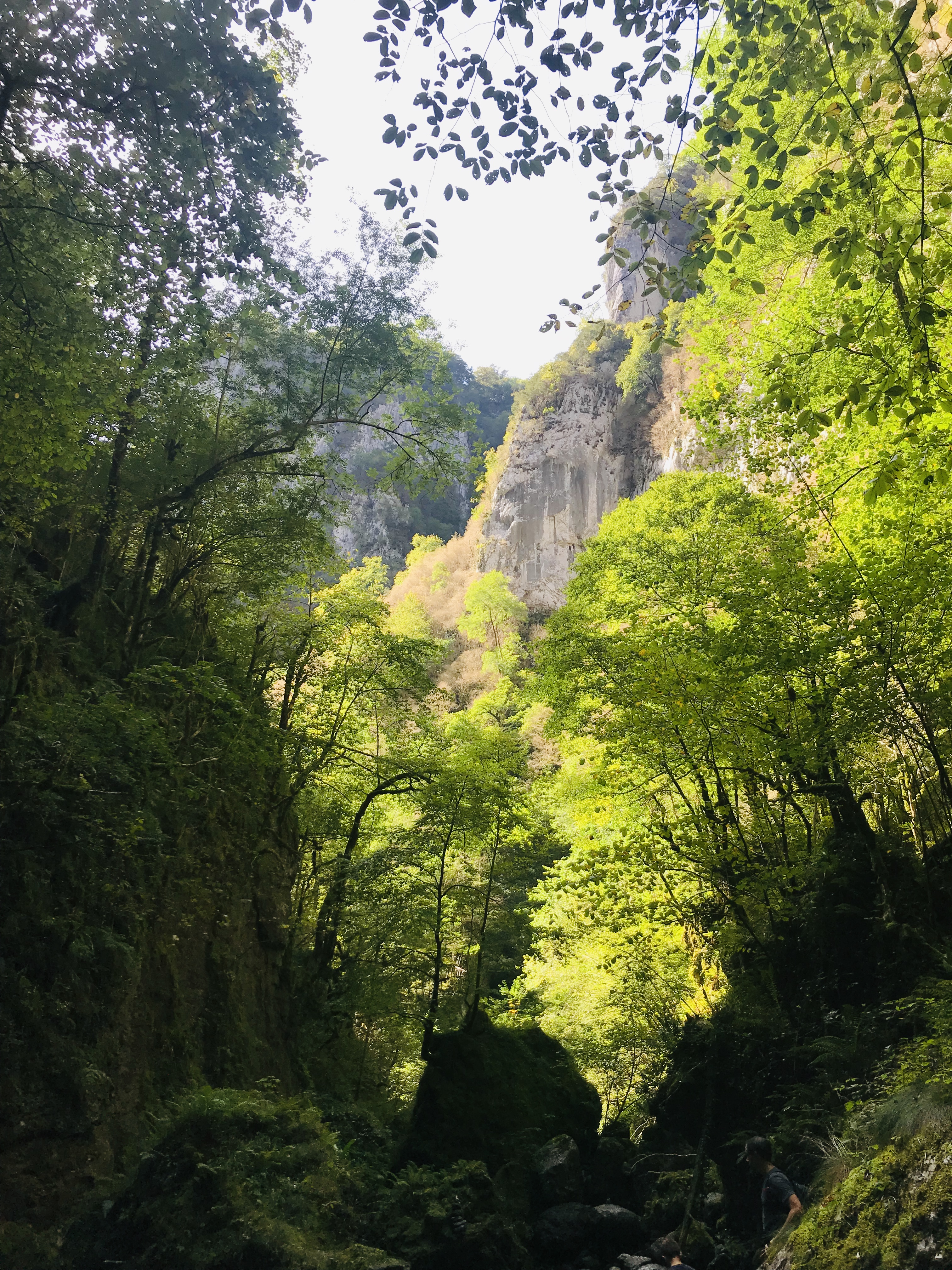 Photo n° 6 de l'avis de gaelle.e fait le 15/09/2019 à 14:33