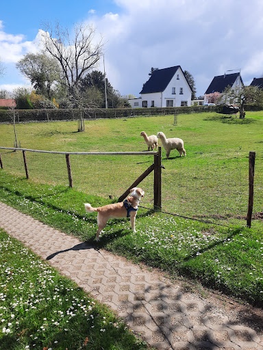 Kleintierpraxis Zahnheilkunde unter Bendorf, 