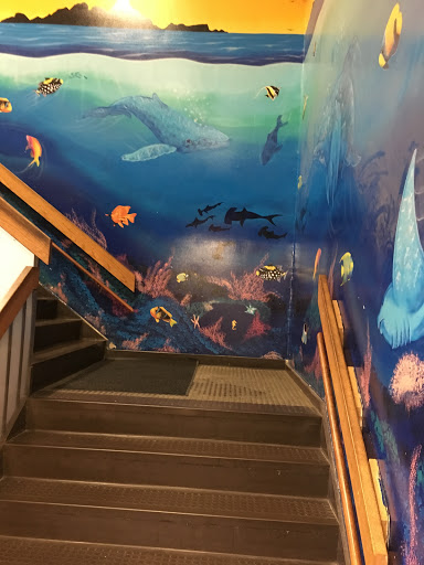 Child Care Agency «Little Sprouts Early Education & Child Care», reviews and photos, 31 Webster St, Andover, MA 01810, USA