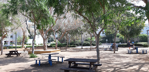 Shmuel Tamir Playground