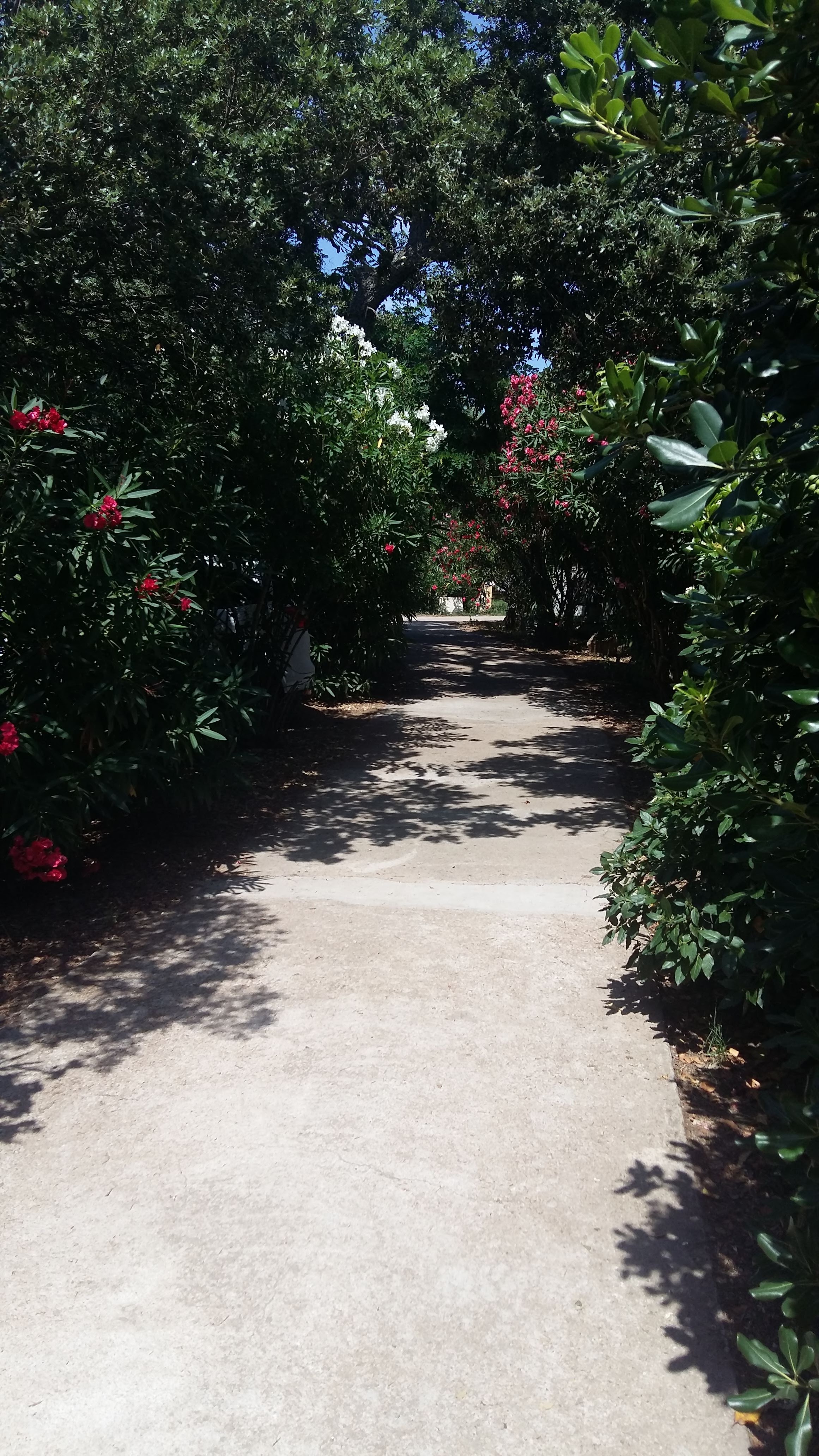 Photo n° 6 de l'avis de stephan.a fait le 12/07/2018 à 12:33