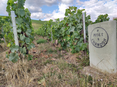 Moët et Chandon à Aÿ-Champagne
