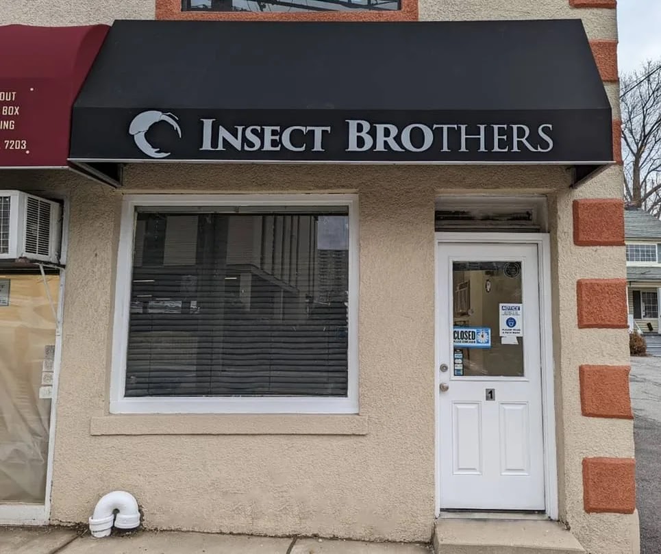 Insect Brothers