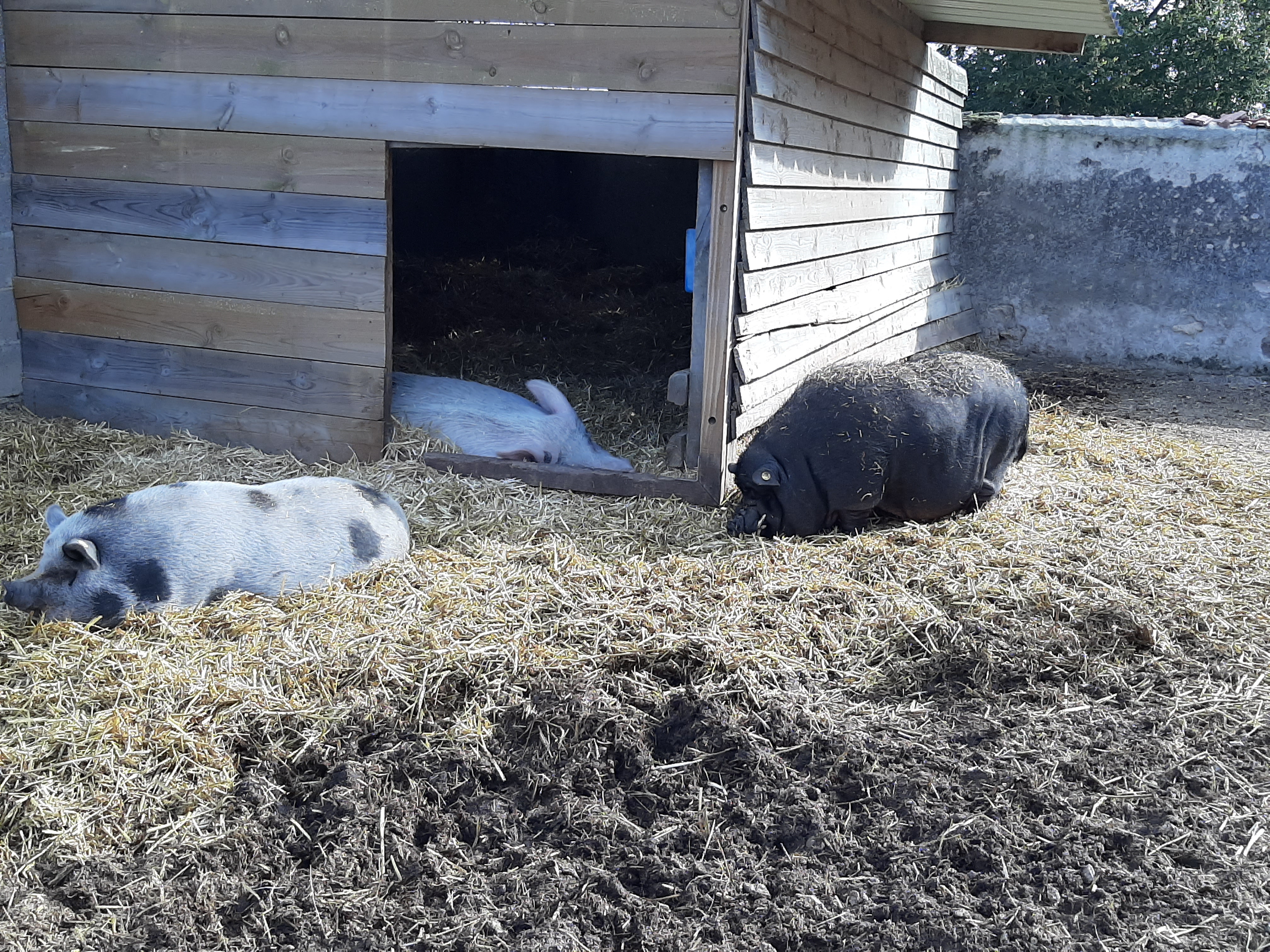 Photo n° 2 de l'avis de Lucie.o fait le 12/10/2019 à 21:43
