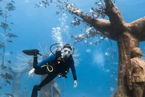 Aquanaut Diving School image