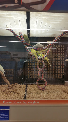 Pet Supply Store «PetSmart», reviews and photos, 5 Mystic View Rd, Everett, MA 02149, USA
