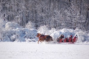 Go Sleigh Countryside Sleigh Rides - photo 30