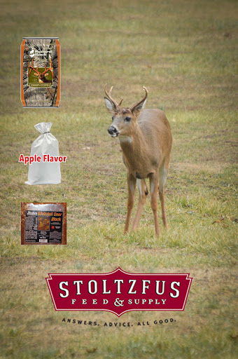 Pet Supply Store «Stoltzfus Feed & Supply», reviews and photos, 80 PA-41, Gap, PA 17527, USA