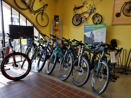 Bicycle Store «Pioneer Cycle», reviews and photos, 12741 Central Ave NE, Blaine, MN 55434, USA