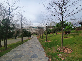 İBB-Sultangazi Cebeci Şehir Parkı ve Spor Tesisi
