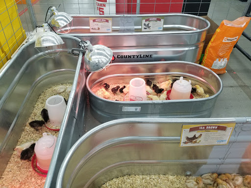 Home Improvement Store «Tractor Supply Co.», reviews and photos, 82 Turnpike Rd, Ipswich, MA 01938, USA