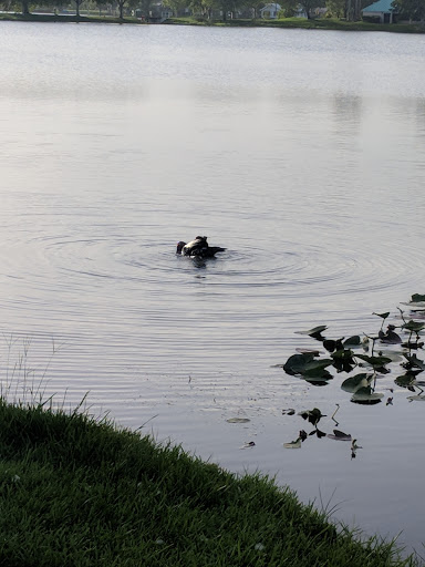 Park «Easterlin Park», reviews and photos, 1000 NW 38th St, Oakland Park, FL 33309, USA