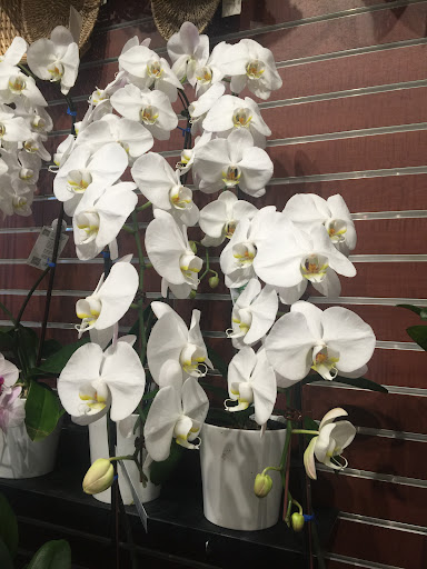 Grocery Store «The Fresh Market», reviews and photos, 52 Marion Ave, Saratoga Springs, NY 12866, USA