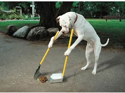 We Doo! Pet Waste Cleanup