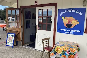Sea Flower Cafe and Espresso Bar image