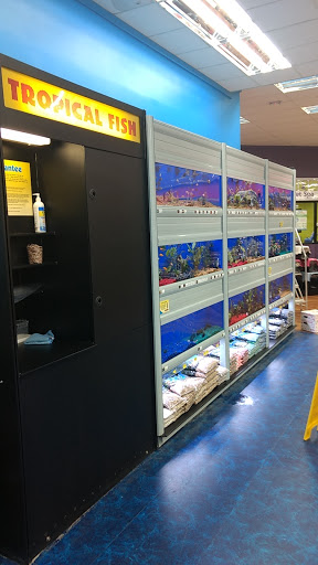 Pet Supply Store «Pet Supermarket», reviews and photos, 2090 E Arapaho Rd, Richardson, TX 75081, USA