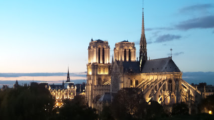 Luxury Penthouse in Paris Notre Dame