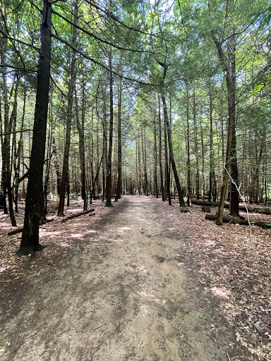 Vista Point «Ledges Overlook», reviews and photos, 405 Truxell Rd, Peninsula, OH 44264, USA