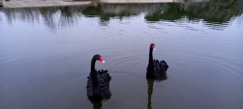 attractions Berges Du Reyran Fréjus