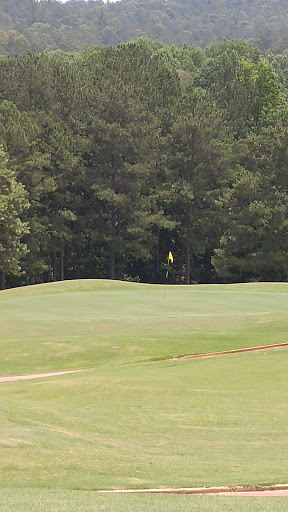 Golf Course «Panola Mountain Golf Course», reviews and photos, 1850 County Line Rd, Ellenwood, GA 30294, USA