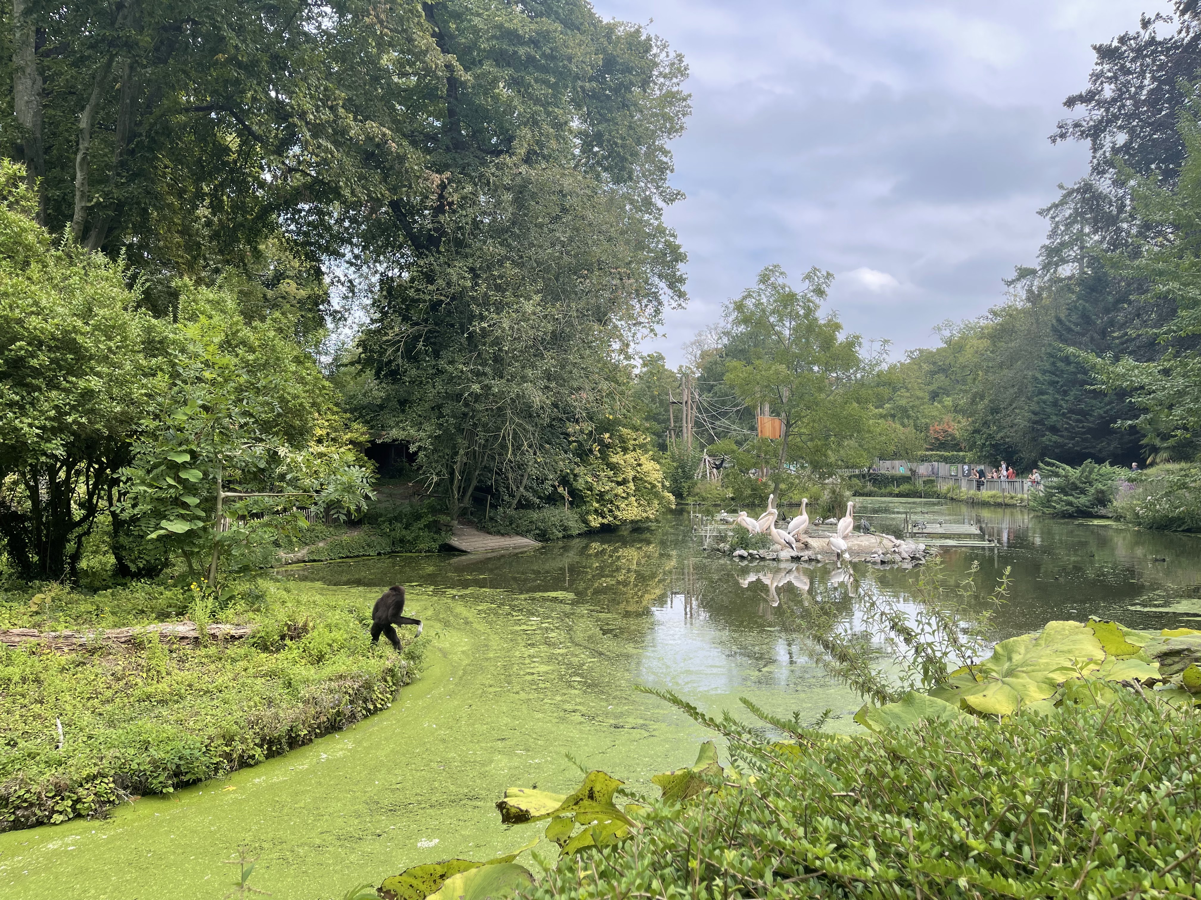 Photo n° 1 de l'avis de Axel.h fait le 18/08/2023 à 13:11