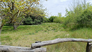 Photo n°20 de Ecopôle du val d'Allier à Pérignat-sur-Allier ()