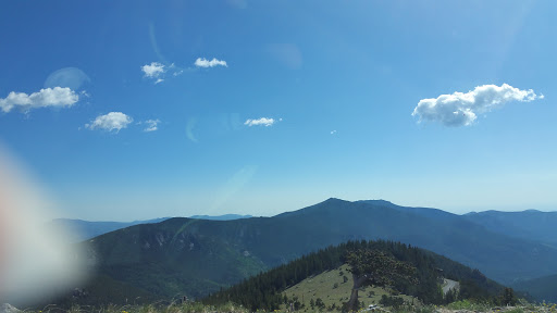 Nature Preserve «Mount Goliath Natural Area», reviews and photos, Mt Evans Rd, Evergreen, CO 80439, USA