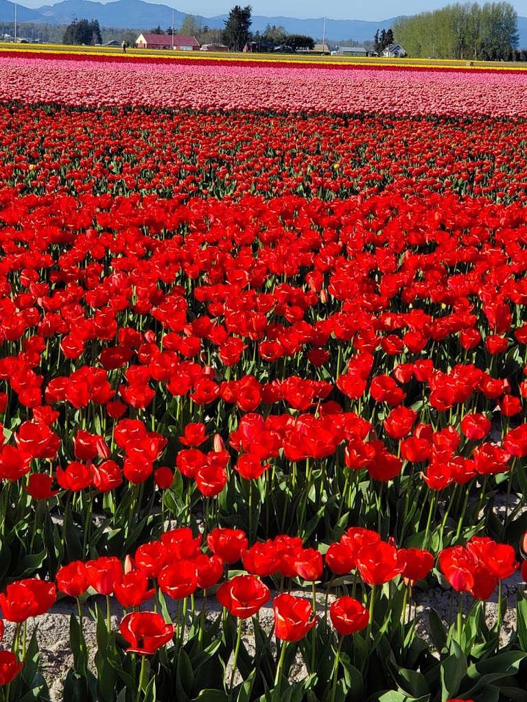 Bliss beauty salon 98074