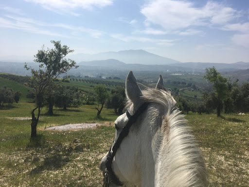 Horse Riding Spain