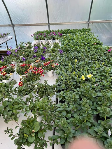 Florist «TG Designs», reviews and photos, 19231 Longmeadow Rd, Hagerstown, MD 21742, USA