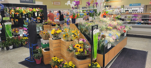 Supermarket «Publix Super Market at Anastasia Plaza», reviews and photos, 1033 A1A Beach Blvd, St Augustine, FL 32080, USA