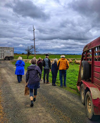 Bakery «Camas Country Bakery and Store», reviews and photos, 91948 Purkerson Rd, Junction City, OR 97448, USA