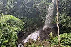 Telaga Waja Waterfall image