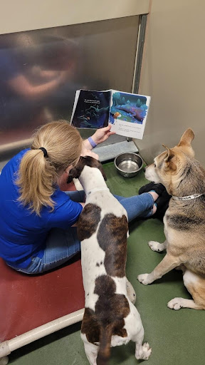 Pet Supply Store «PetSmart», reviews and photos, 9041 Snowden Square Dr, Columbia, MD 21045, USA